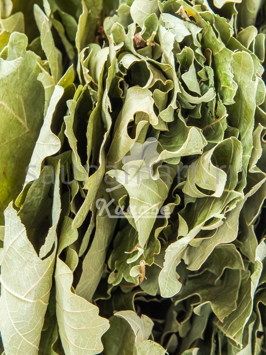 Веник для бани Дуб 1 ШТ Курасе Веник для бани Дуб 1 ШТ Курасе