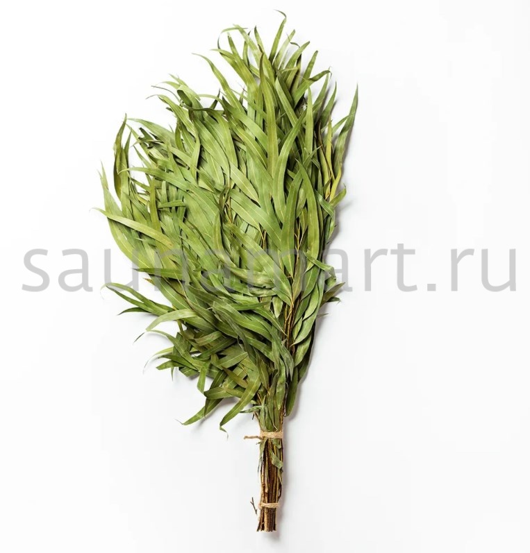 Веник эвкалиптовый Веник эвкалиптовый