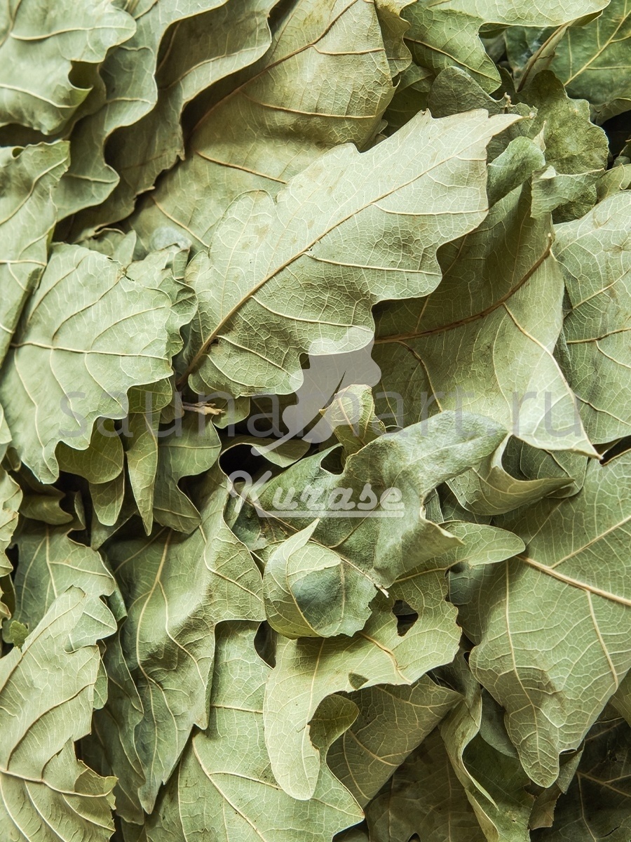 Веник для бани Дуб 1 ШТ Курасе Веник для бани Дуб 1 ШТ Курасе