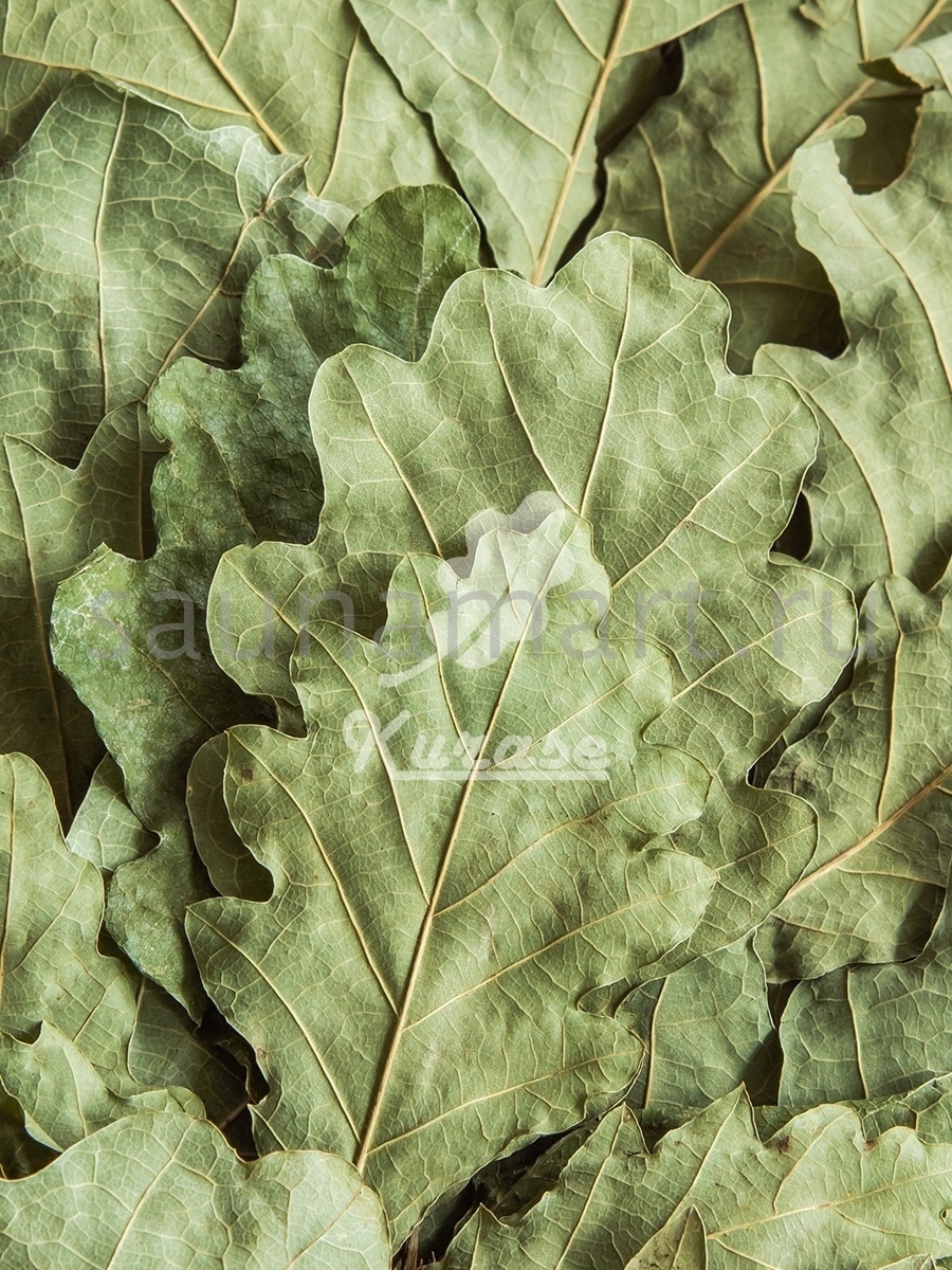 Веник для бани Дуб 1 ШТ Курасе Веник для бани Дуб 1 ШТ Курасе